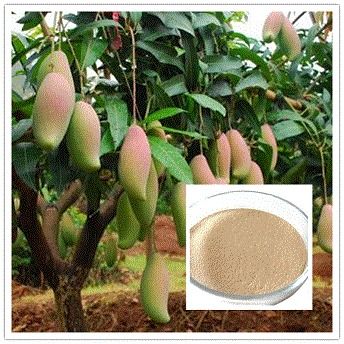 Compound Amino Acid Powder (52%) Application: Fertilizer