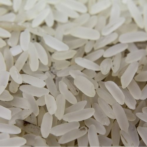 Fresh Short Grain White Rice