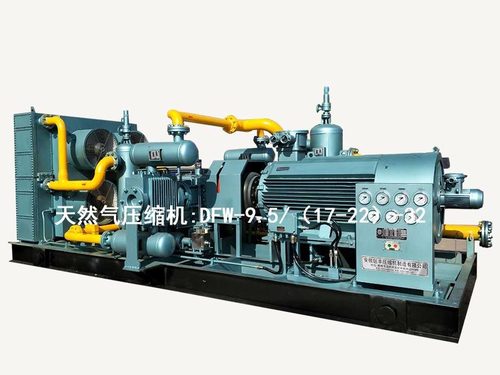 Oil-Free Cng Natural Gas Compressor