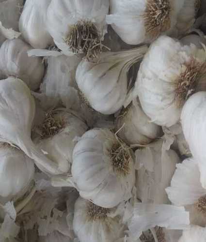 Fresh Dehydrated Garlic Flakes Dehydration Method: Sunlight