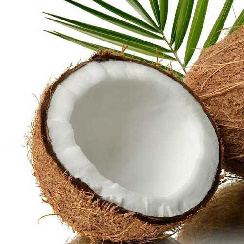 Matured Natural Fresh Coconut