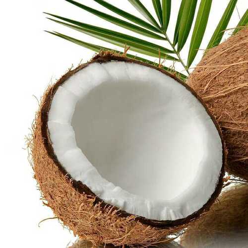 Brown Matured Natural Fresh Coconut