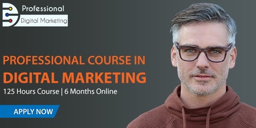 Professional Course in Digital Marketing 6 Months Online Program with Live Sessions