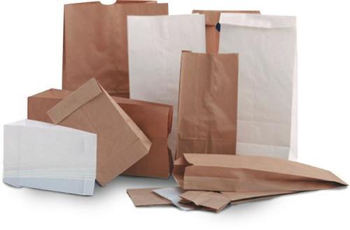 Recyclable White And Brown Paper Bag