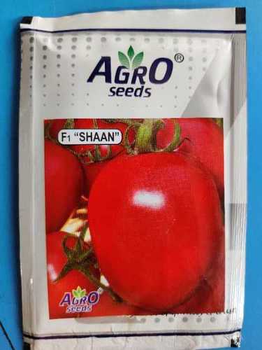 F1 Shaan Tomato Seeds