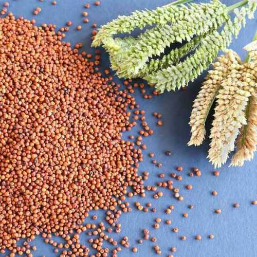 Economical Organic Fresh Ragi