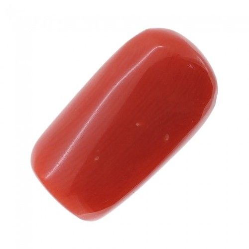 red coral price
