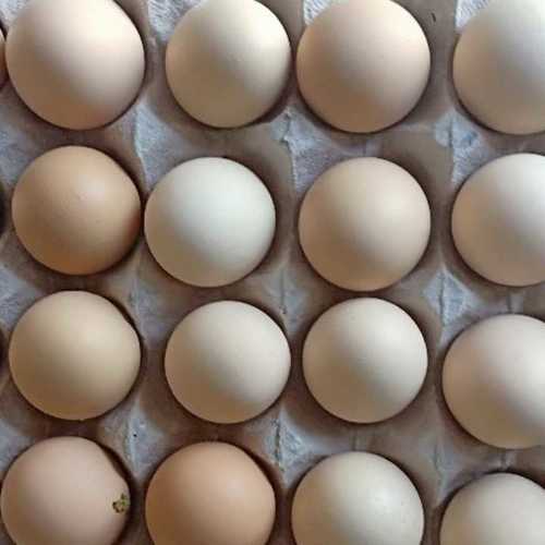 Pure Country Chicken Eggs