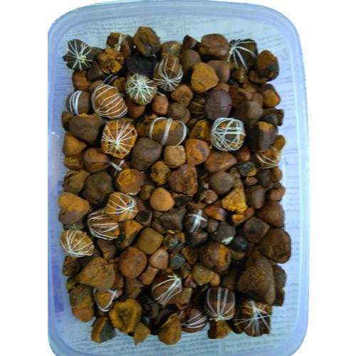 100 % Pure Ox Gallstone