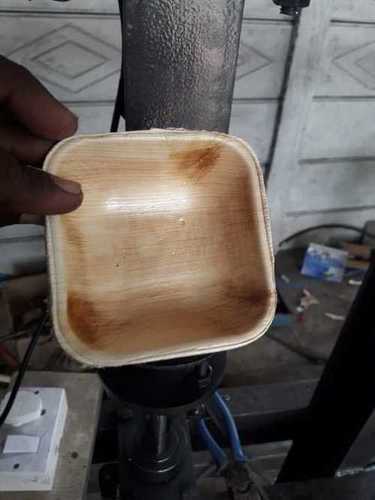 Plain Pattern Biodegradable Bowl 
