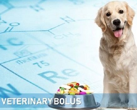 Veterinary Bolus Tablet Ingredients: Chemicals