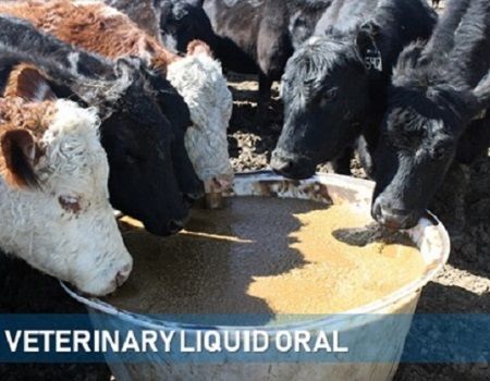 Veterinary Liquid Oral