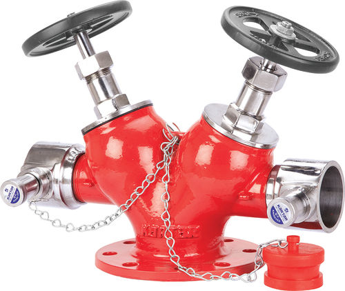 Double Outlet Landing Valve