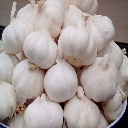 Pure Fresh White Garlic