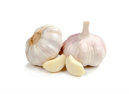 Tasty And Aromatic Fresh Garlic