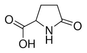 Dl Pyroglutamic Acid