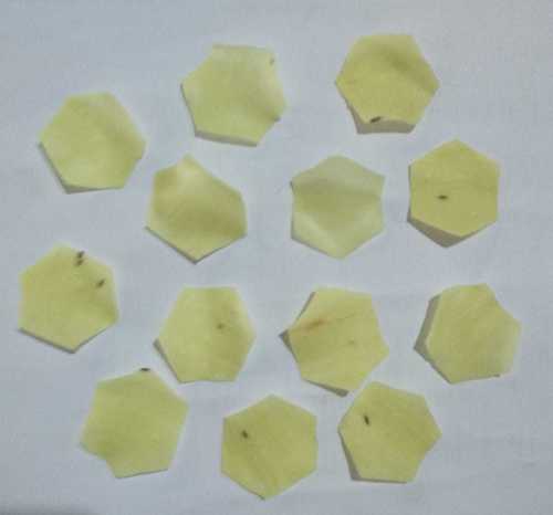 Plain Jeera Papad (Hexagon)