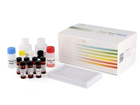 White Swine Foot And Mouth Disease Igg Antibody Elisa Test Kit