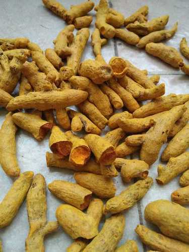 Raw Turmeric Mini Finger