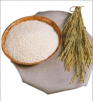 Organic Food Additive Rice Protein