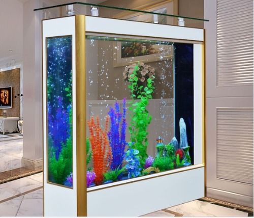 Acrylic Fish Tank In Home And Garden Of Gold Arowana Fish