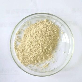 Rice Protein Powder For Nutrition Enhancer