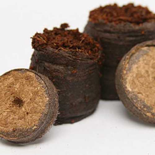 Light Brown Coco Peat Plug For Baby Plant