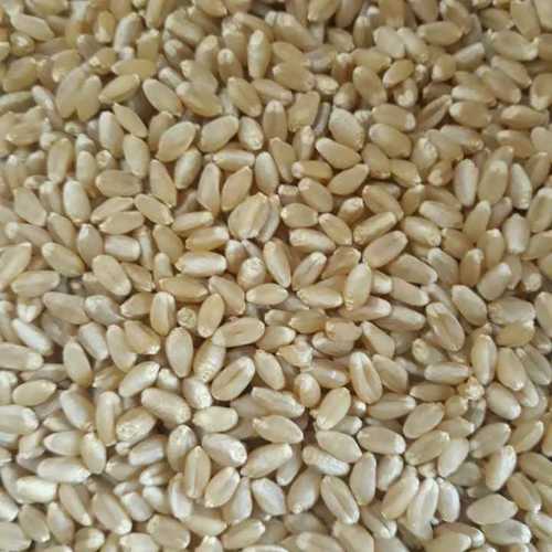 Export Quality Wheat Grain