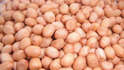 Organic Rich In Protein Peanut