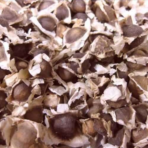 Natural Dried Moringa Seeds