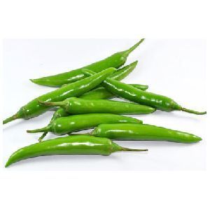 Organic Fresh Green Chilli