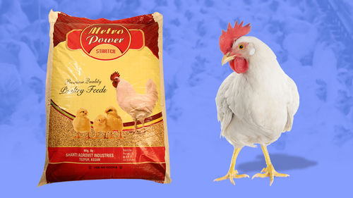 SRC Weight Gain Poultry Feed