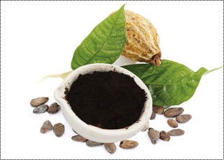 Black Alkalized Cocoa Powder (3 As01) 