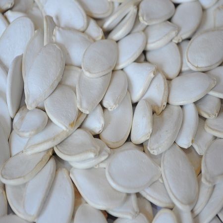 Fresh White Pumpkin Seeds