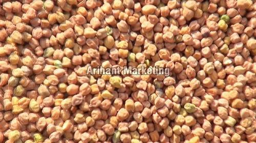 High Grade Black Chickpeas