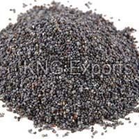 Organic Black Poppy Seeds