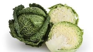 A Grade Pesticide Free Fresh Cabbage
