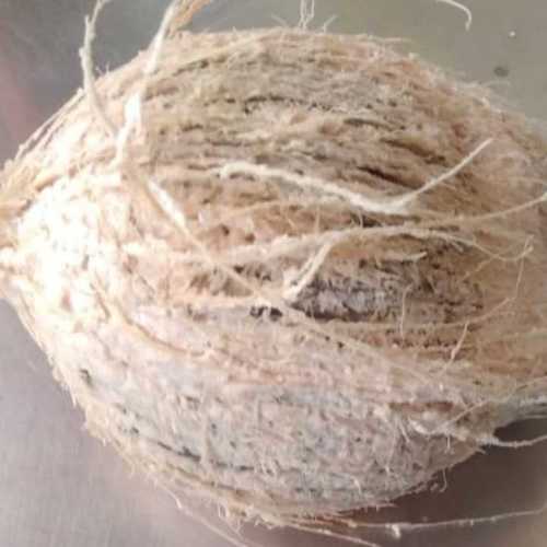 Natural Fresh Fully Husked Coconut