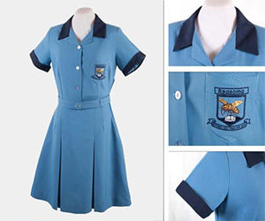 Plain Girls School Dress Age Group: 5-16