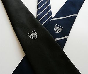 Polyester Silk School Ties