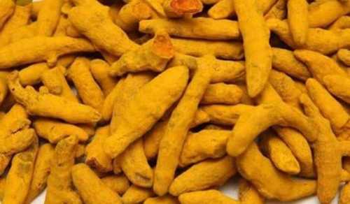 Yellow Rich Aroma Turmeric Finger