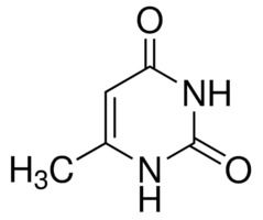 6 - Methyl Uracil