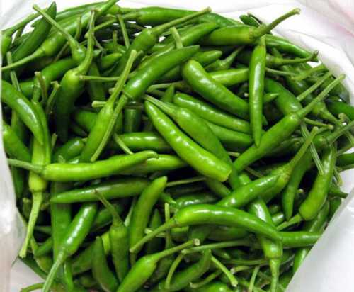 Fresh Natural Green Chilli