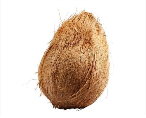  ताजा अर्ध भूसे हुए नारियल 