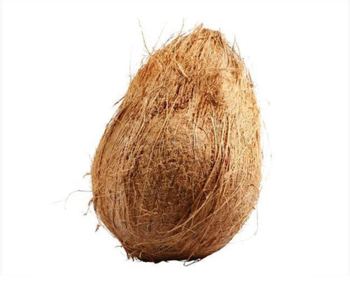 Brown Fresh Semi Husked Coconuts 