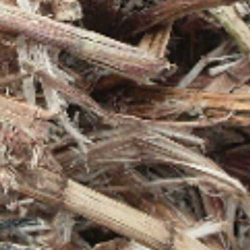 Natural Dried Sugarcane Bagasse
