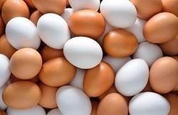 Brown And White Chicken Eggs Shelf Life: 2-8 Days