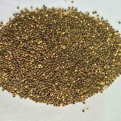 Brown Organic Dried Coriander Seeds