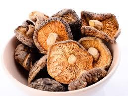 Brown Color Dried Mushroom Grade: Premium