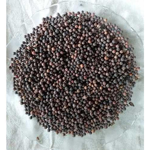 Naturally Dried Baibidang Seeds